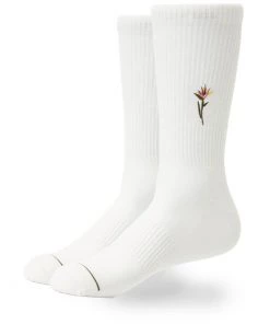 Katin Paradise Socks -Shimano Online Shop katin paradise socks 6